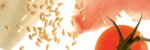 Article : recette-dietetique-par-un-chef-expert-thon-au-sesame-grille