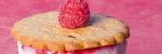 Article : entremets-framboise-cranberry-et-galettes-aux-pepites-de-framboise