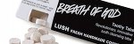 Article : nouveaute-lush-apres-le-shampoing-le-dentifrice-solide