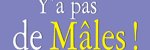 Article : y-a-pas-de-males