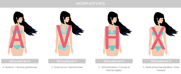 morphotypes