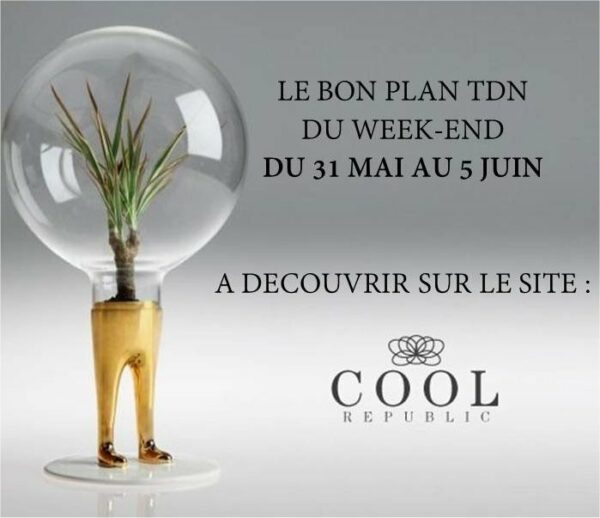 bon plan trucdenana the cool republic