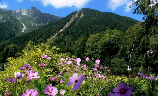 Montagne &eacute;t&eacute;