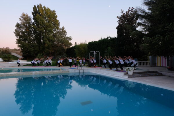 yog'n wine set club aix