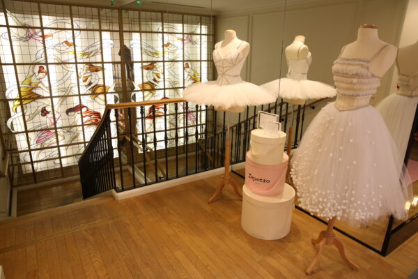 retour-sur-fit-ballet-chez-repetto