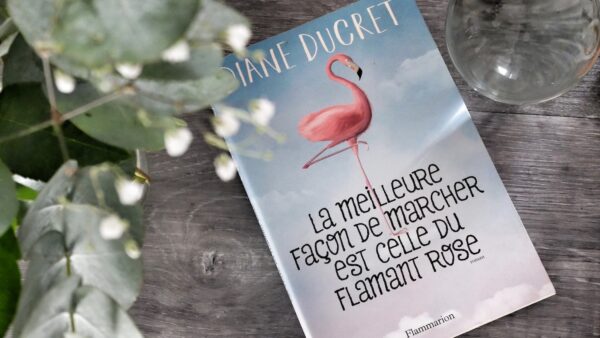la meilleure façon de marcher est celle du flamant rose