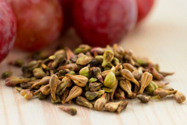 pepins-raisins